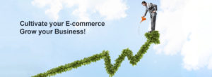 logistics_ecommerce